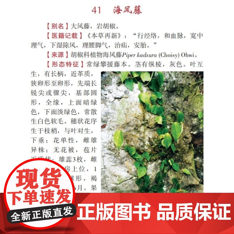 奇异中草药单方验方 中草药图谱大全 形态特征/化学成分/现代研究 附3-5首实用配方 鉴别级实拍彩图 中医药材鉴定与临床高清大图