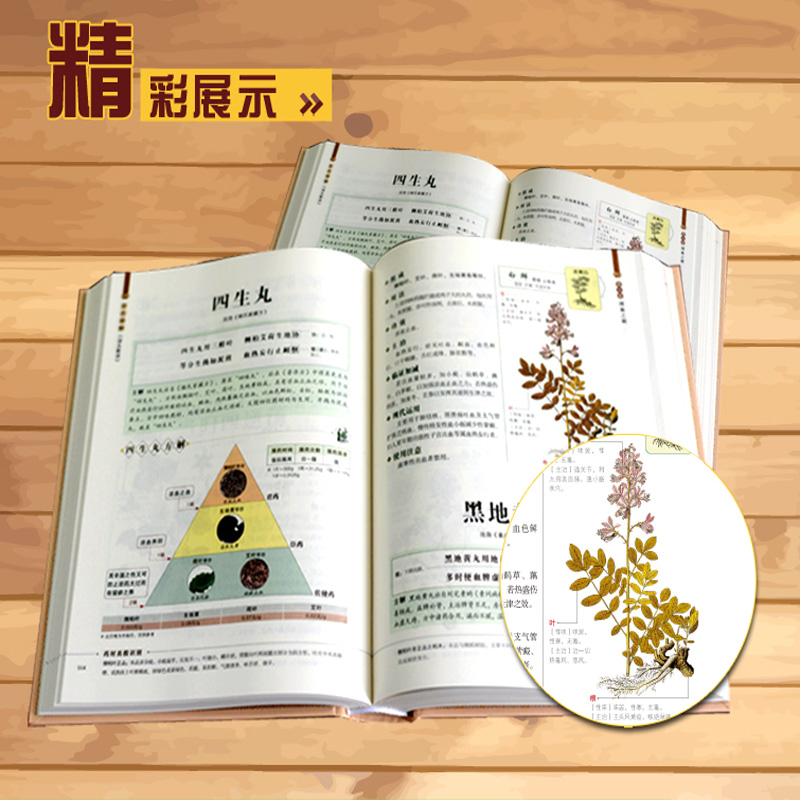 [醉染正版]正版 汤头歌诀白话图解版 中医书籍大全入门 中药书处方配方 药方选录中医常用方剂300余方民间家庭偏方秘方大高清大图