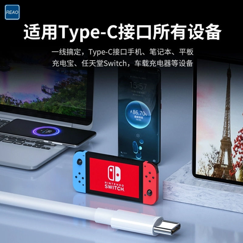 泺澳(REAO) 双TYPE-C口快充数据线X15白色高清大图