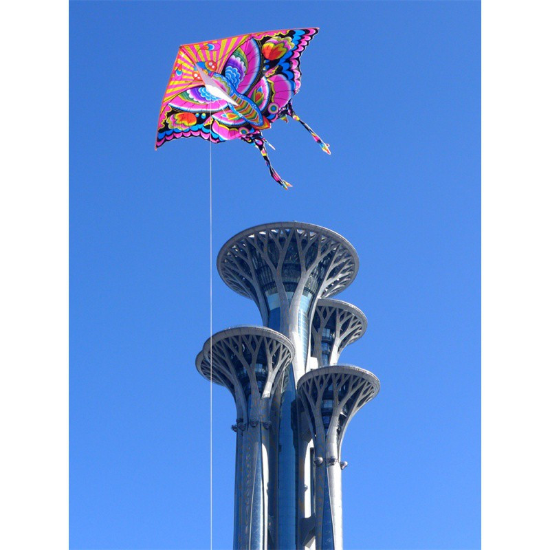 [北京实体店]美美的大蓝花蝴蝶三角潍坊风筝现代三角风筝创意 三维工匠 蓝蝶+22白蓝750米线轮