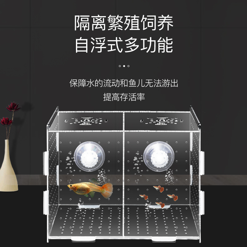孔雀鱼繁殖盒孵化盒隔离盒产卵器鱼卵繁殖箱小鱼产房亚克力鱼缸高清大图