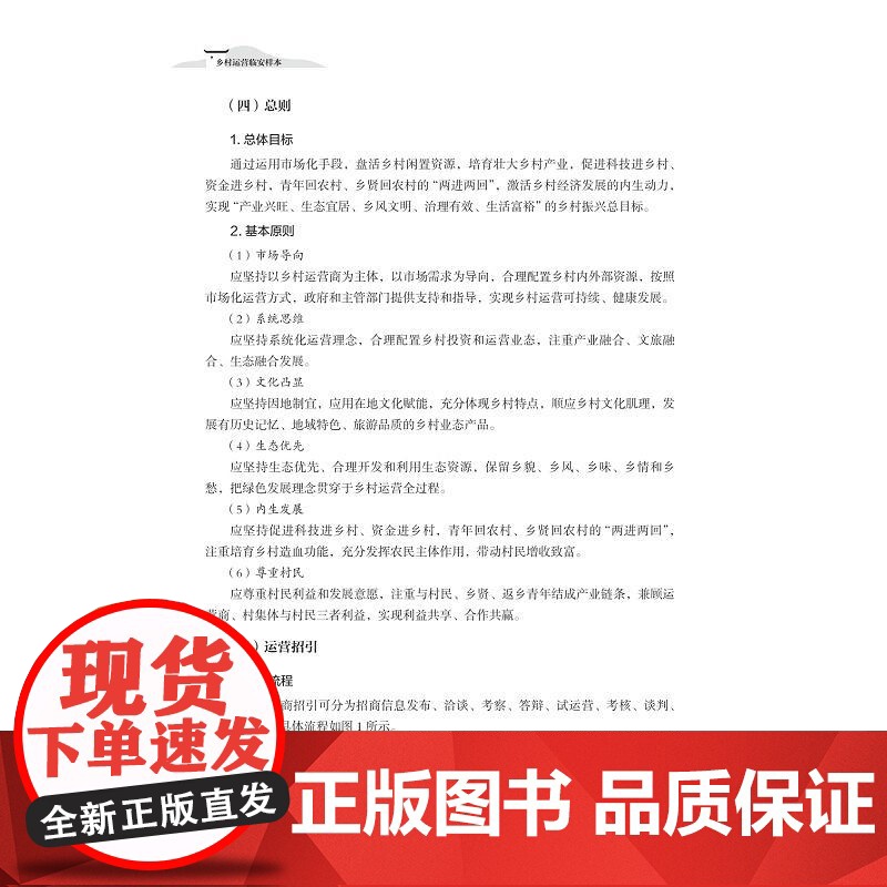乡村运营临安样本/陈伟洪主编/浙江大学出版社高清大图
