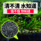 鱼缸造景水泥缸底砂ada陶粒砂基肥种植土水族箱能量沙