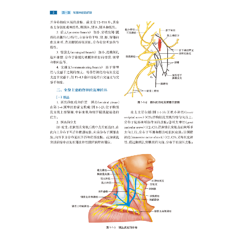 醉染图书周围神经外科学9787117334150图片