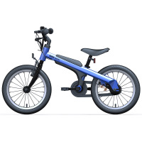 Ninebot Kids Bike 16英寸儿童自行车(男款)