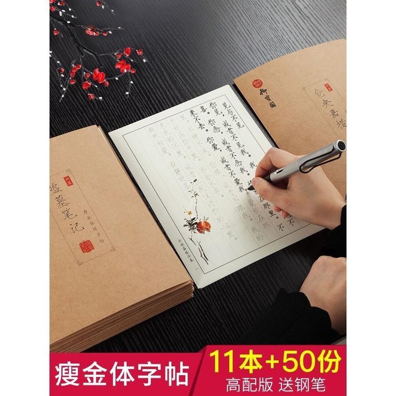 字帖成人瘦金体古风钢笔字帖练字漂亮女生字体硬笔书法练字帖成人 2本装 盗墓笔记上+下【单字帖】