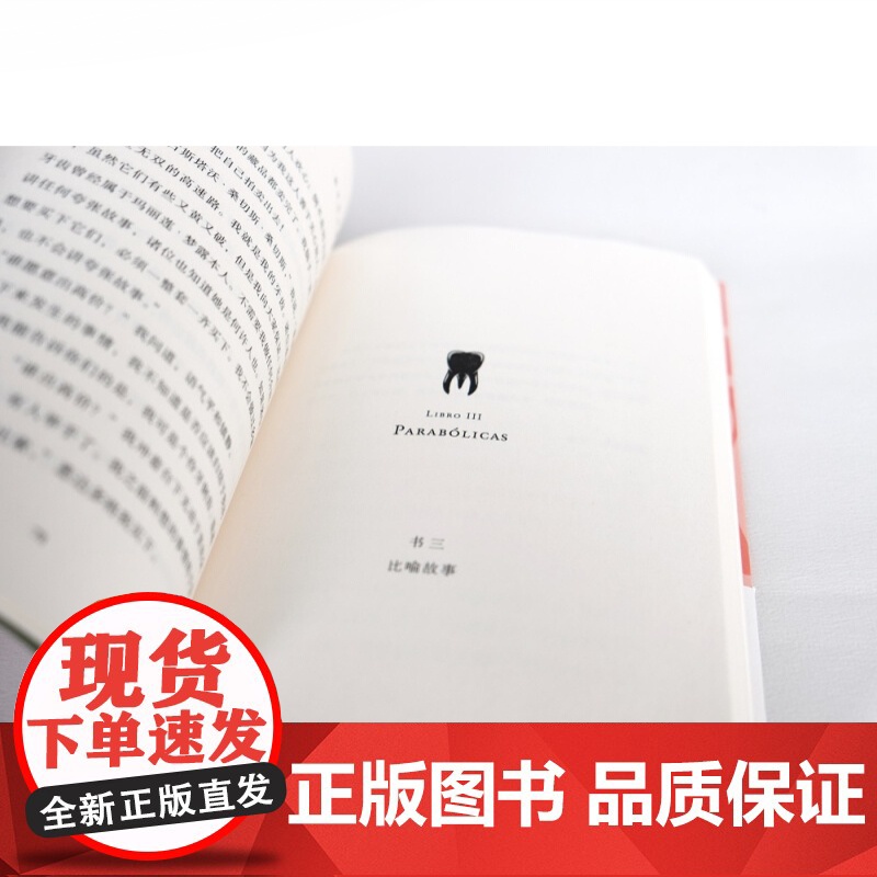 我牙齿的故事 瓦莱里娅路易塞利著都柏林国际文学奖决选作品当代文坛闪耀新星成名作世纪文景上海人民出版社拉美文学社会纪实小说高清大图