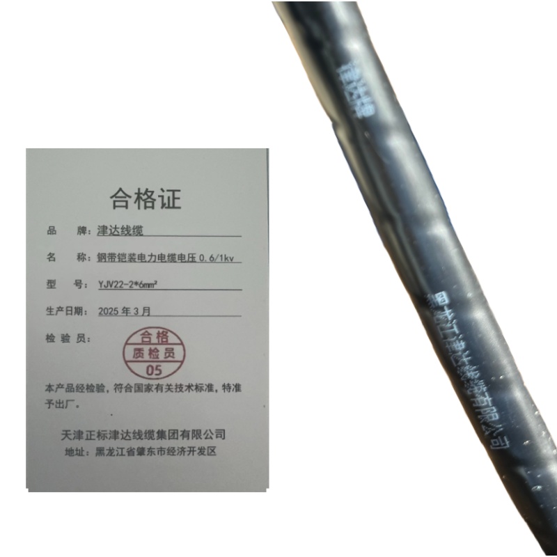 津达线缆 钢带铠装电力电缆电压0.6/1kv YJV22-2*6mm² 米高清大图