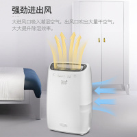 德龙(Delonghi)除湿机 DEX14 除湿干衣 14L除湿量 家用卧室迷你小型抽湿机