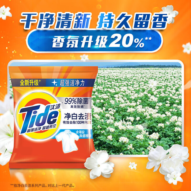 汰渍洗衣粉218g*3袋净白去渍除菌除螨无磷深层去污渍家庭装自然清香
