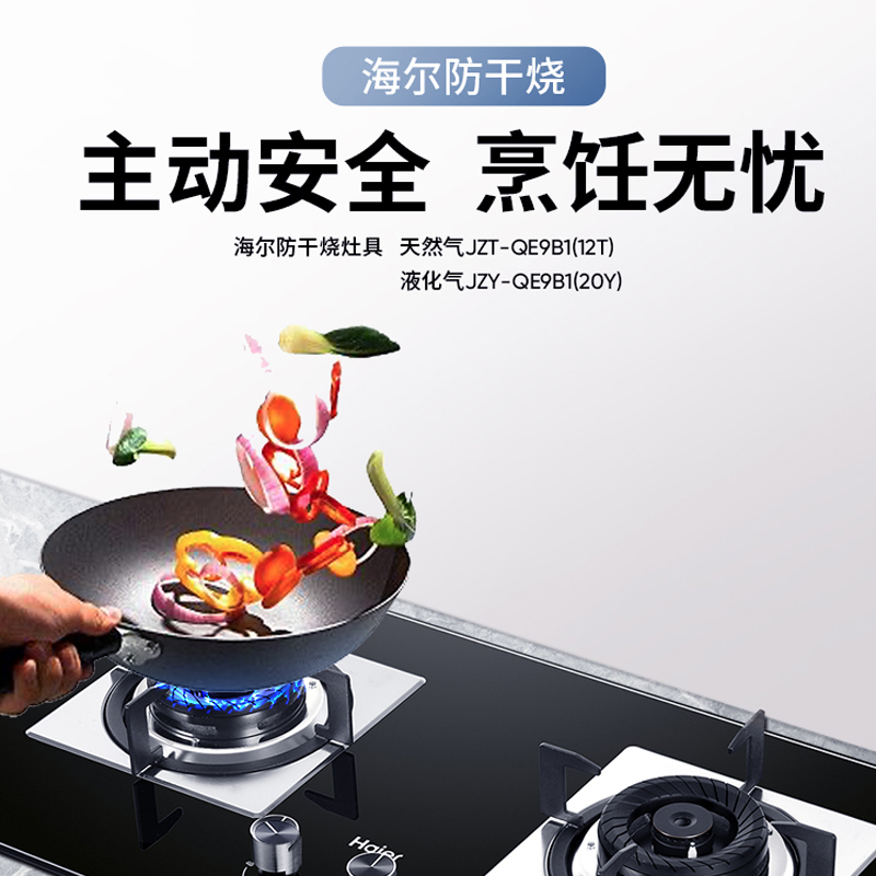 台嵌两用式燃气灶具ZY-I10055B 智能防干烧4.2KW宽频火力家用液化气灶双灶煤气灶嵌入式台式 一级能效