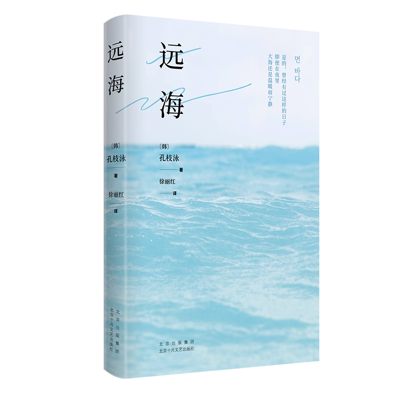 正版新书]远海〔韩〕孔枝泳 著 徐丽红 译9787530223215高清大图