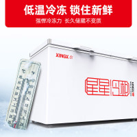 星星(XINGX) 716升 商厨商用单温大冰柜 卧式双门顶开门 单箱变温冷柜 冷藏冷冻转换柜 BD/BC-716E