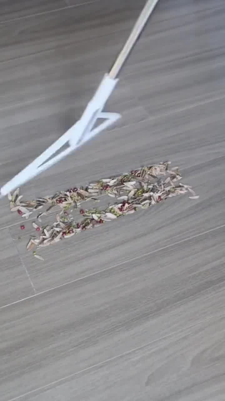 大卫F6魔术扫把 刮水魔术扫把多功能扫水刮地两用帚笤刮擦窗户F6