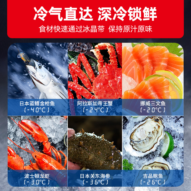 星星(XINGX)200升零下60℃超低温深冷柜商用冰柜卧式全冷藏全冷冻生鲜柜电子温控保鲜柜 DW-60W200DS高清大图
