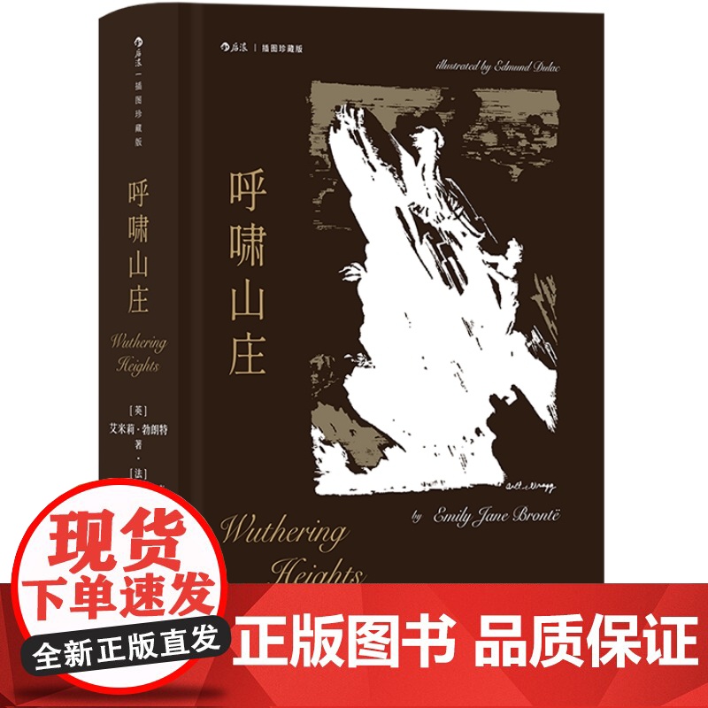 呼啸山庄正版珍藏版 文学名著书籍 外国现当代文学名家作品精选文学小说世界名著全集书排行榜人民文学出版社孙致礼后浪正版高清大图