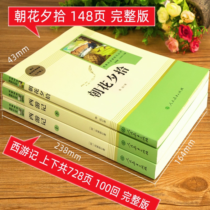 七上选读 湘行散记 [正版]2024新版朝花夕拾考点练习七年级必读书人教版全新解读送考试手册人民文学出版社初中必读原书西高清大图