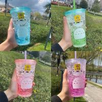 夏日清凉制冷杯韩版双层塑料吸管杯高颜值男女生碎冰杯大容量水杯 龙猫平盖碎冰杯-颜色随机 单杯(都有吸管)