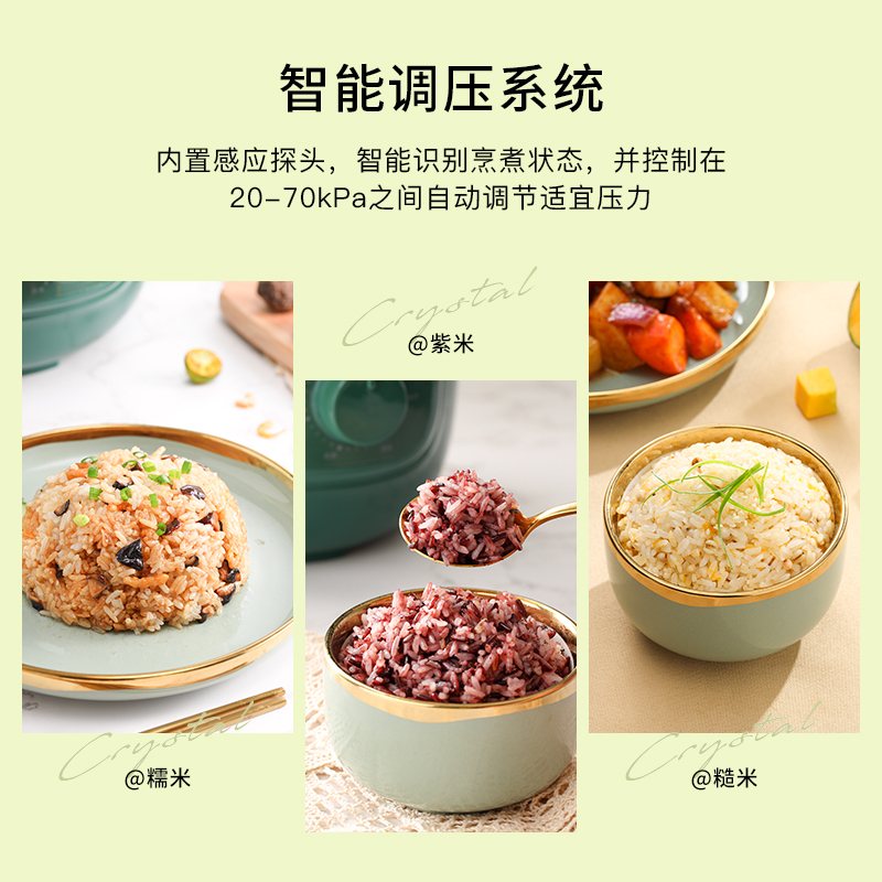 生活元素(LIFE ELEMENT)电压力锅R1迷你电压力锅小型家用2人全自动多功能不沾电饭高压锅2L