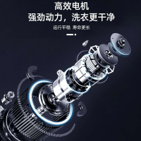 志高(CHIGO) XPB32-68黑 3.2公斤半自动单桶迷你 非全自动洗衣机 透明黑(杀菌款)