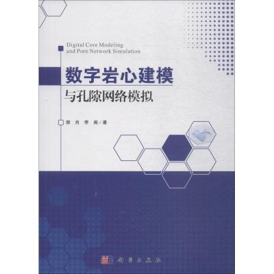 11数字岩心建模与孔隙网络模拟978703059950622
