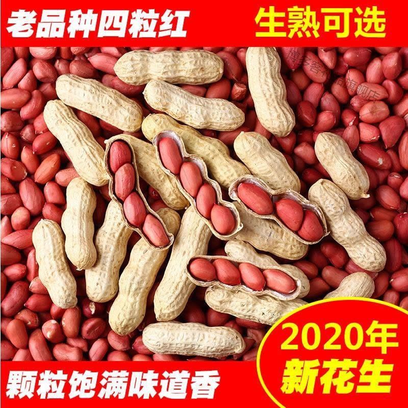带壳花生]20年四粒红红皮花生米铁锅炒熟花生带壳小粒四粒红种子图片