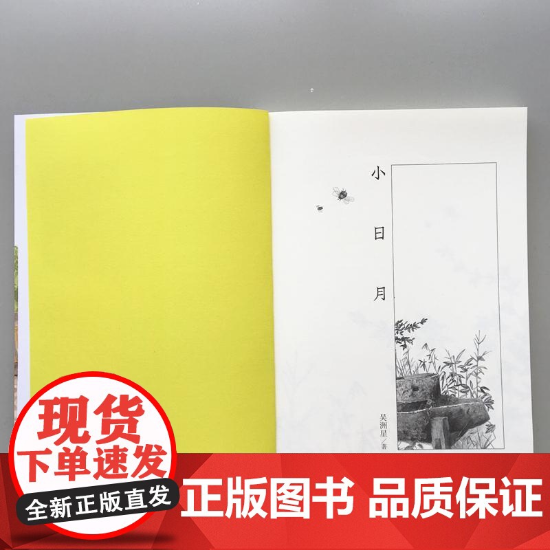 中国文化探秘 三国两晋南北朝 混战与融合 少年儿童出版社 严婷 著 田兆元 编高清大图