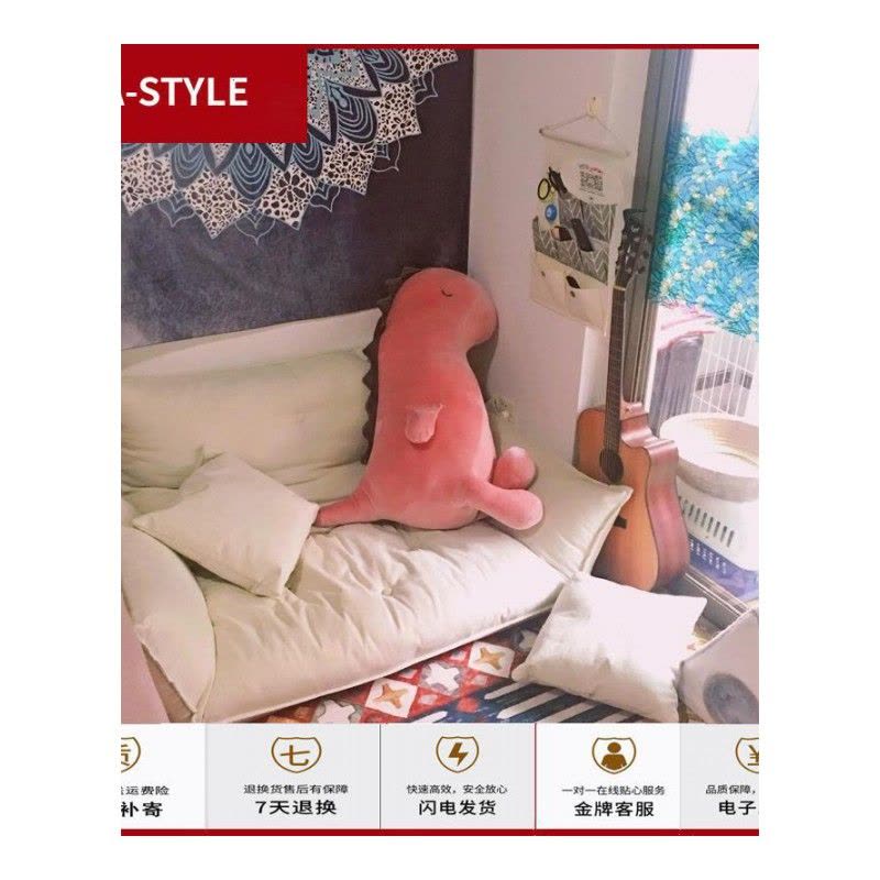 苏宁放心购懒人沙发卧室双人懒人小沙发榻榻米床边小沙发小户型房间地上沙发A-STYLE家具图片