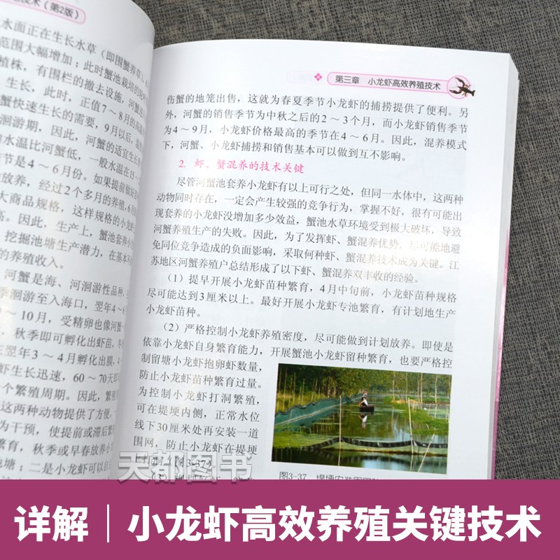 [醉染正版]正版 小龙虾高效养殖与疾病防治技术 第2版 小龙虾高效养殖技术 小龙虾养殖技术大全教程书籍水产养殖书 小龙虾高清大图