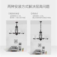 雷士照明美式吊灯轻奢水晶大气典雅客厅餐厅灯具现代简约灯饰套餐 测试商品