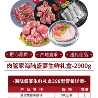 肉管家Mr.Meat -海陆盛宴生鲜礼盒398型 2900g