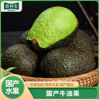 【苏鲜生】云南哈斯牛油果 新鲜水果 4个装 单果130g-160g