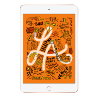 苹果 Apple iPad mini 5 2019年新款 平板电脑 7.9英寸（256G WIFi版/A12芯片/MUQW2CH/A）金色