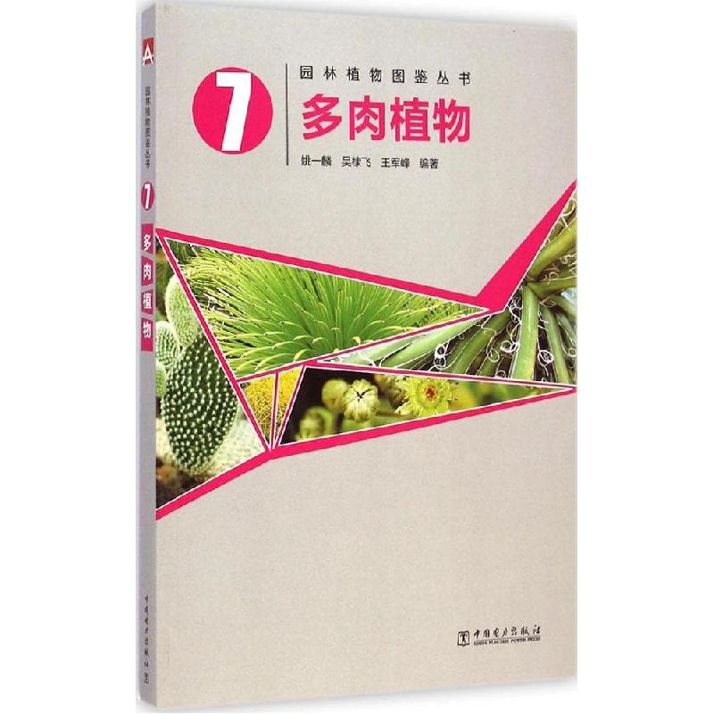 正版新书]多肉植物吴棣飞9787512365933高清大图