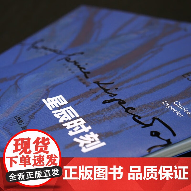 星辰时刻 克拉丽丝·李斯佩克朵 著 小说高清大图