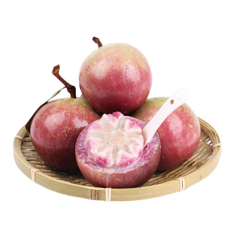 xj新鲜牛奶果热带水果金星果星苹果现摘牛奶果香甜嫩滑味如牛奶可开