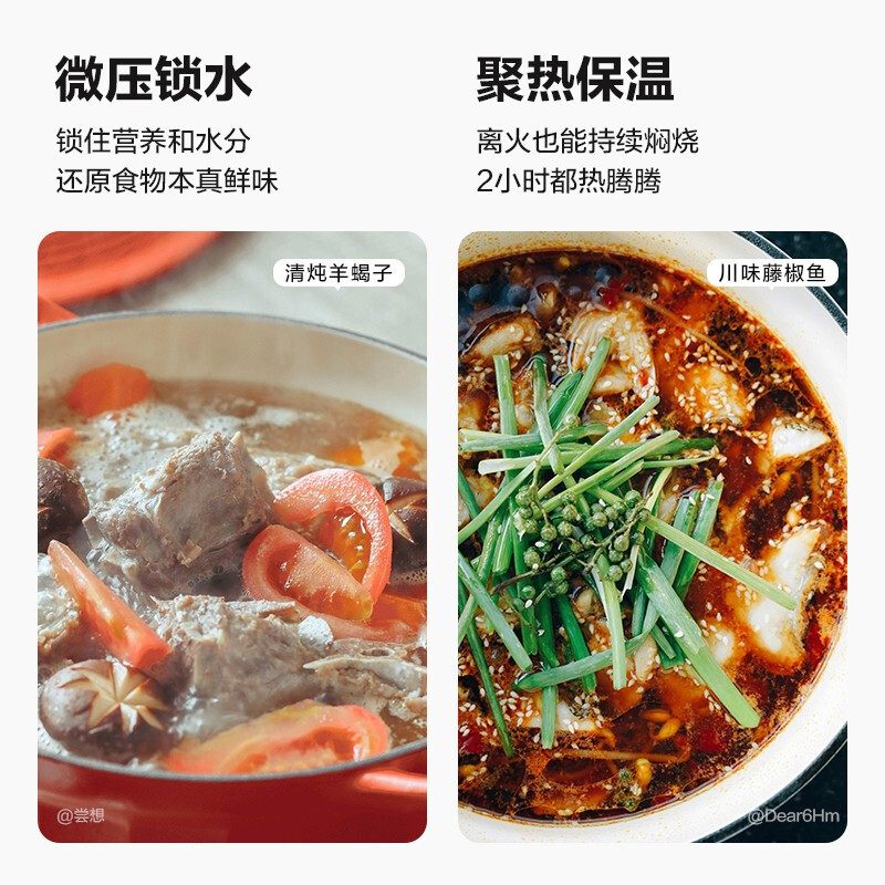 北鼎(BUYDEEM) 珐琅锅22cm CP521 紫色高清大图