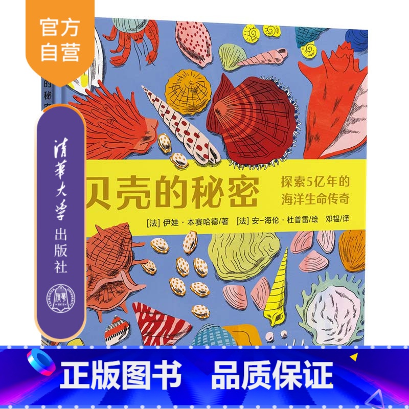 【正版】贝壳的秘密——探索5亿年的海洋生命传奇 伊娃·本赛哈德 儿童科普