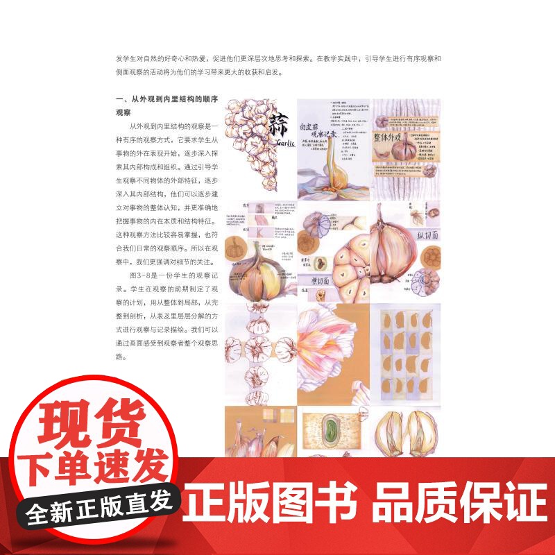 设计基础:观察记录 李丹丹编著吴南妮上海人民美术出版社艺术设计专业书籍高清大图