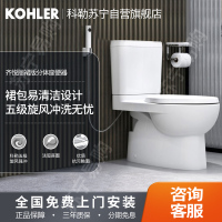 科勒齐悦分体座便器家用卫生间马桶坐便器虹吸式抽水马桶K-22746T