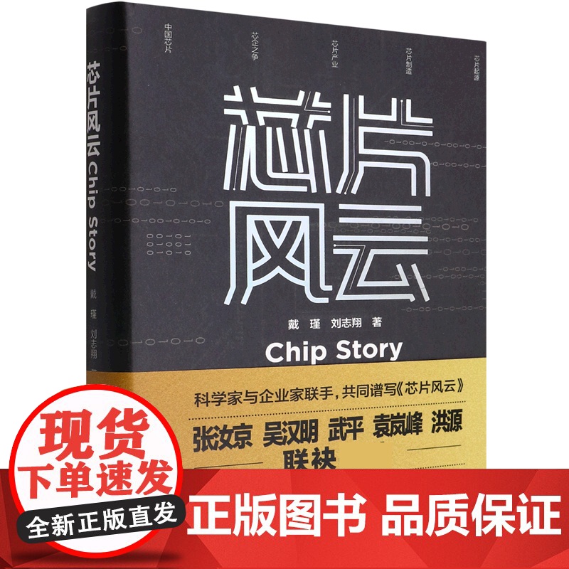 芯片风云高清大图