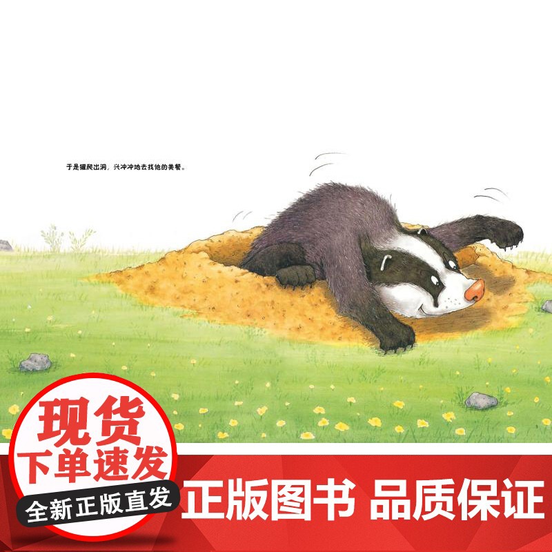 獾的美餐东方娃娃硬壳精装绘本图画书庆子凯萨兹的经典作品美好的东西其实就在身边适合2岁3岁4岁5岁6岁亲子阅读正版童书高清大图