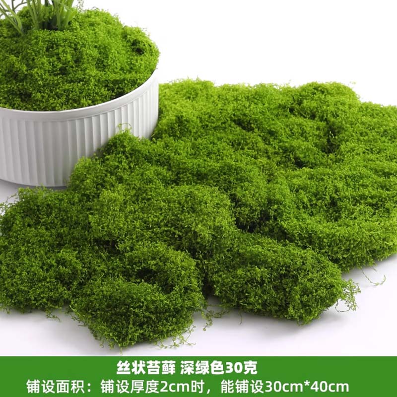 假青苔 丝状苔藓深绿50克/袋高清大图