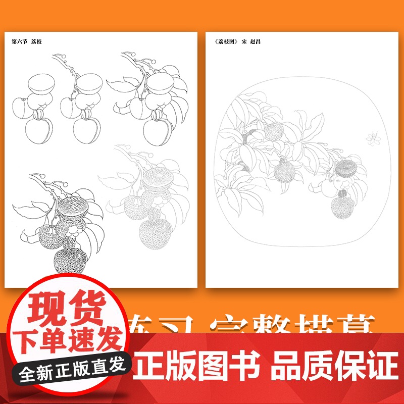 中国画白描入门描摹本国画工笔果蔬美术套装画本工具描红书初学者画画临摹画册毛笔绘画练习教材高清大图