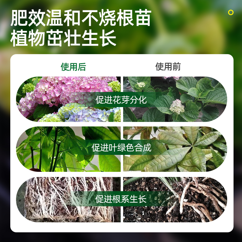 [醉染正版]植物营养片通用型家庭园艺缓释肥养花肥料家用盆栽通用花卉果蔬肥高清大图