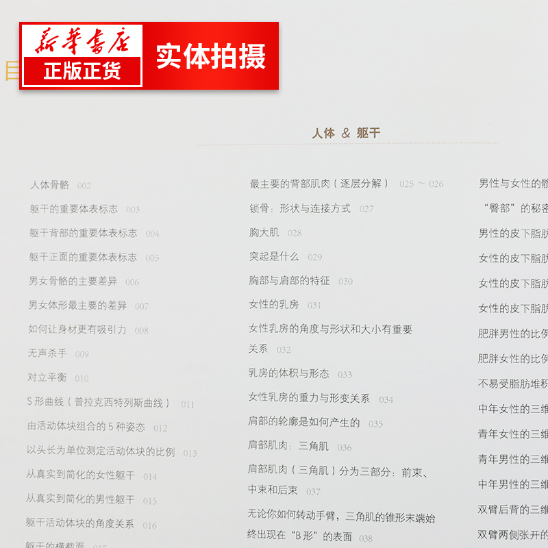 [正版图书]艺用人体结构解剖 精装版全彩 理解人体形态人体结构骨骼肌肉造型解剖学基础教程 动漫表情教程 伯里曼人体结构教高清大图