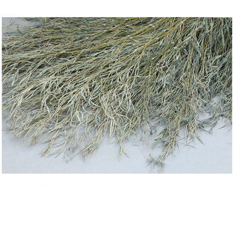 连瑞翔 大扫把 竹制 把高清大图