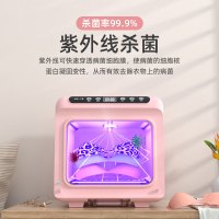 羿彩 (YECAI) 内衣内裤消毒机家用衣物小型智能高温杀菌烘干机臭氧手机紫外线消毒盒