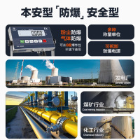 优科维特防爆电子秤量程100kg精度10g(台面30*40cm)