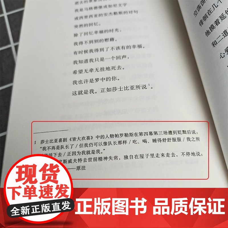 [正版]夜晚的故事 豪尔赫·路易斯·博尔赫斯著 王永年译 博尔赫斯全集 中国现当代诗歌文学 上海译文出版社高清大图